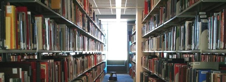 Photo of books at the Mary Idema Pew Library